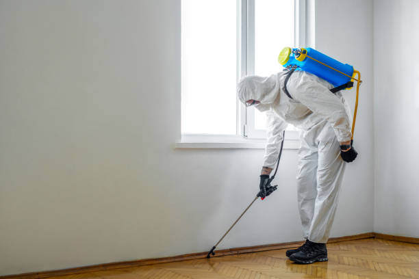 Best Best Pest Control Companies  in Leadwood, MO