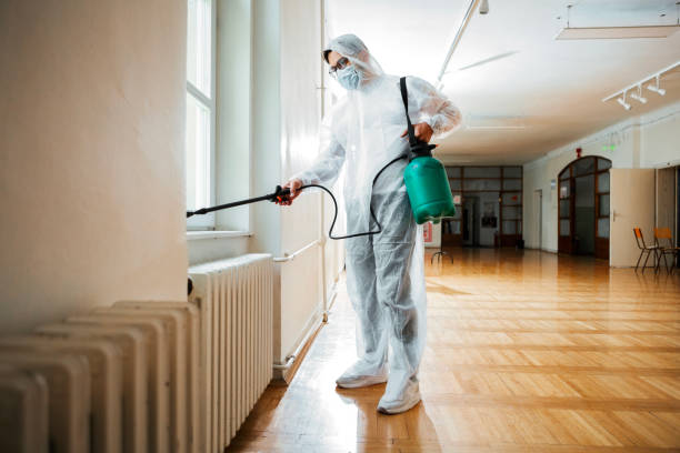 Best Pest Prevention Services  in Leadwood, MO